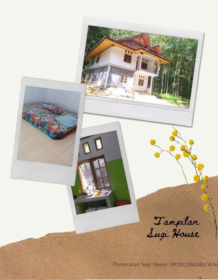 Sugi House Toraja - Villa Penginapan Sewa Harian Рантепао Екстериор снимка