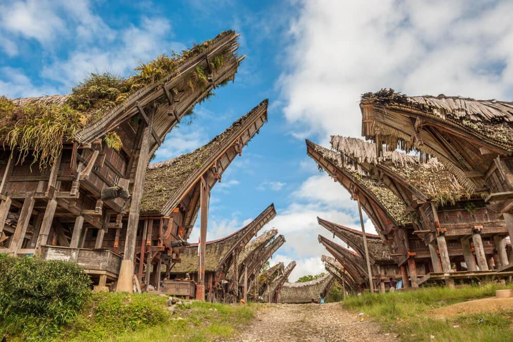 Sugi House Toraja - Villa Penginapan Sewa Harian Рантепао Екстериор снимка
